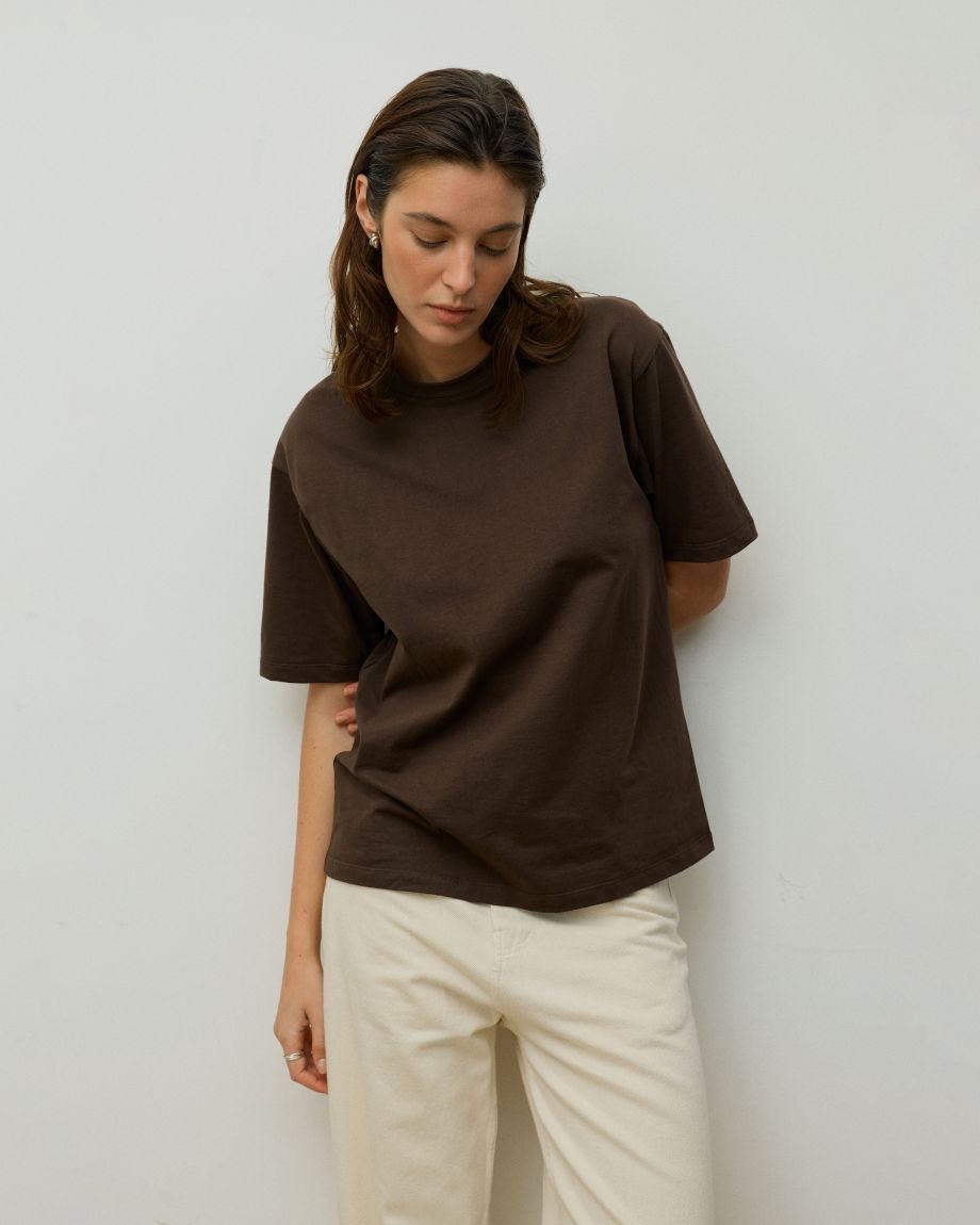 Brown Regular Fit T-Shirt