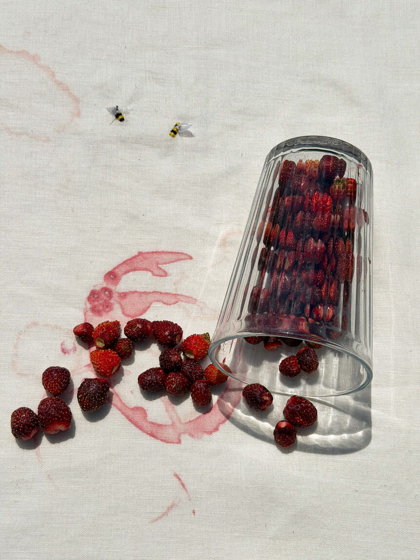 GRANNY’S GARDEN tablecloth